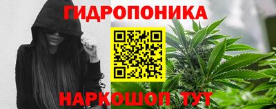 амф Коммунар