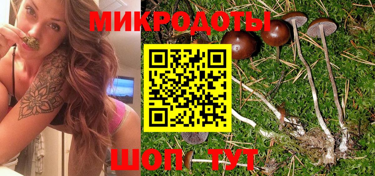 купить наркотик  Галлюциногенные грибы мицелий  Заринск  Вход с VPN  Псилоцибиновые грибы ЛСД 