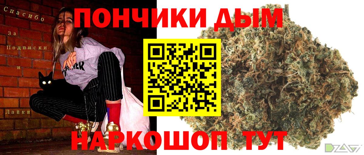 Шишки марихуана индика  Вход с VPN  Заринск  МАРИХУАНА ГИДРОПОН  Марихуана планчик  МАРИХУАНА Ganja 
